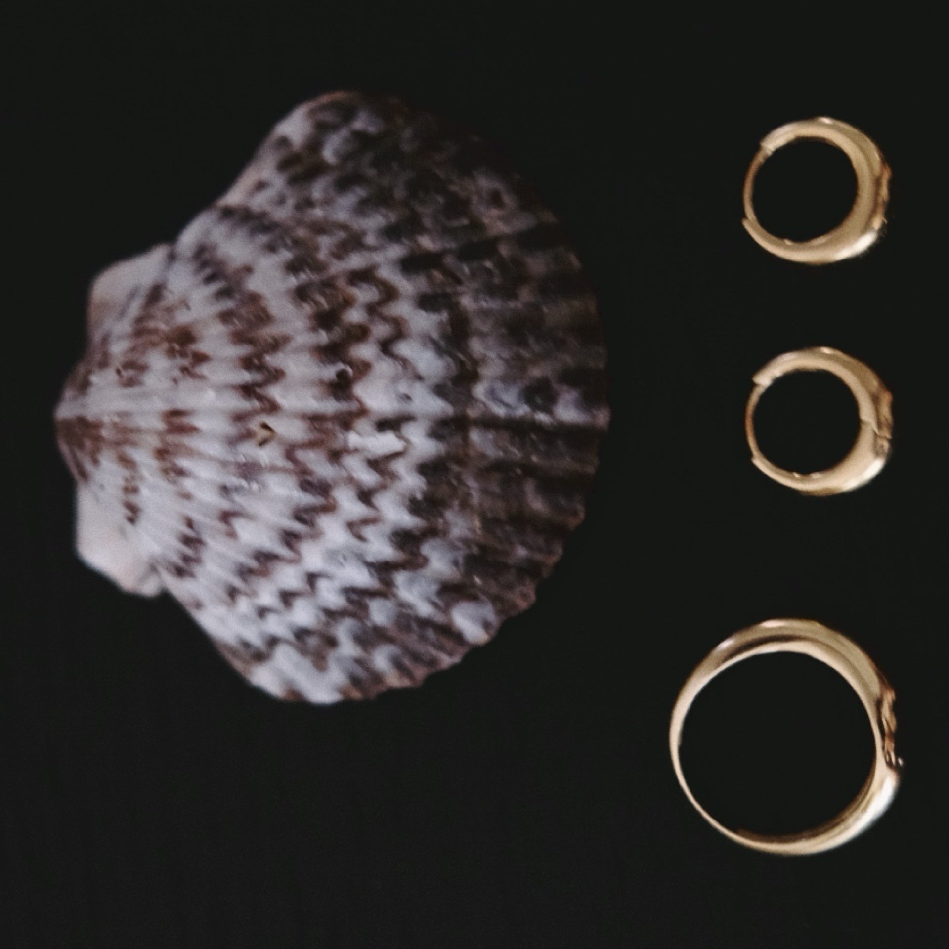 The Ormeau Ring - Leonora Gold Jewelry