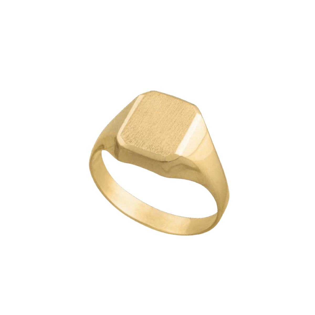 The Charles Gold Signet Ring - Blanche is Gold Jewelry