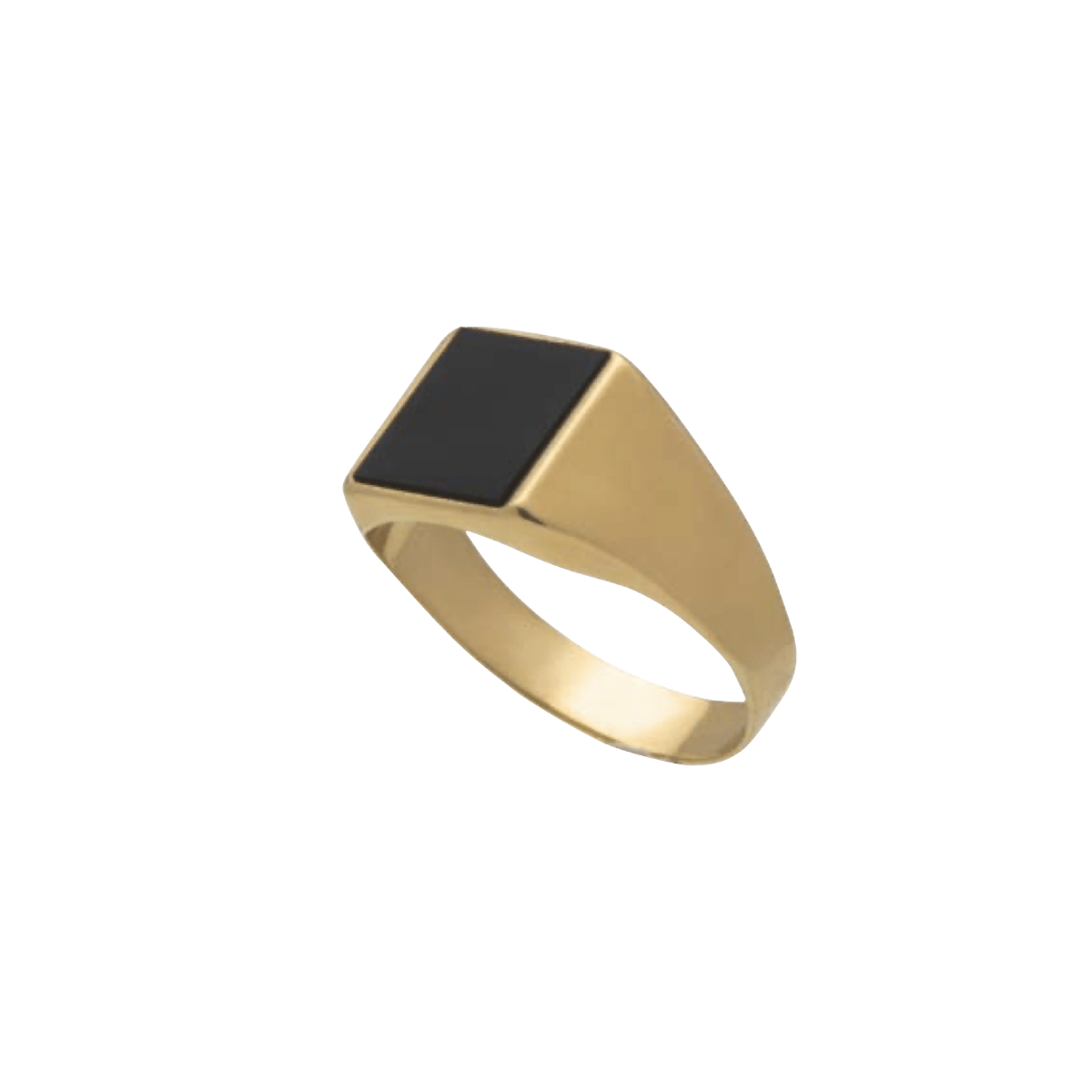 The Theo Gold Signet Ring - Blanche is Gold Jewelry